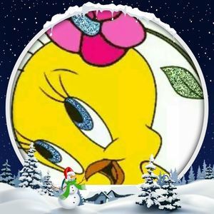 Meet your Posher, Janet